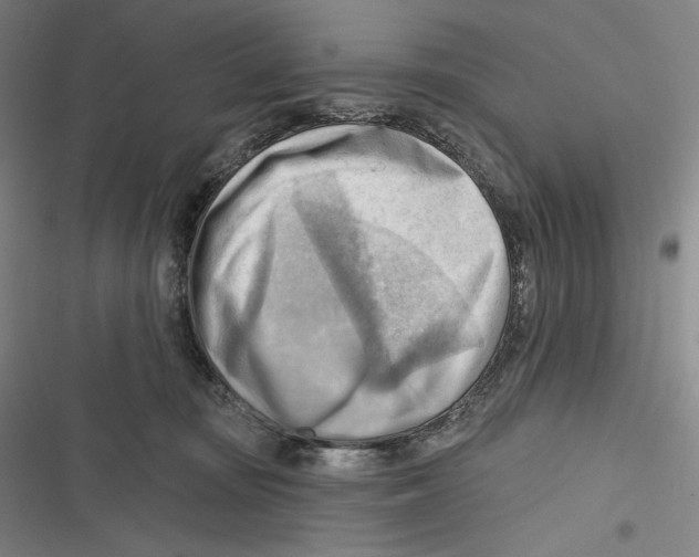 X0000116650371201001111234