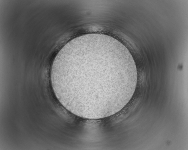 X0000116650373201001111234