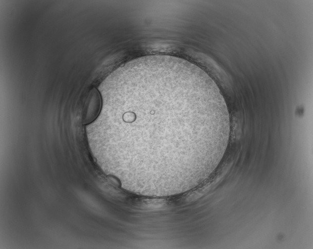 X0000116650377201001111234