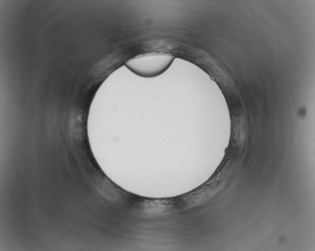 X0000116650378201001111234
