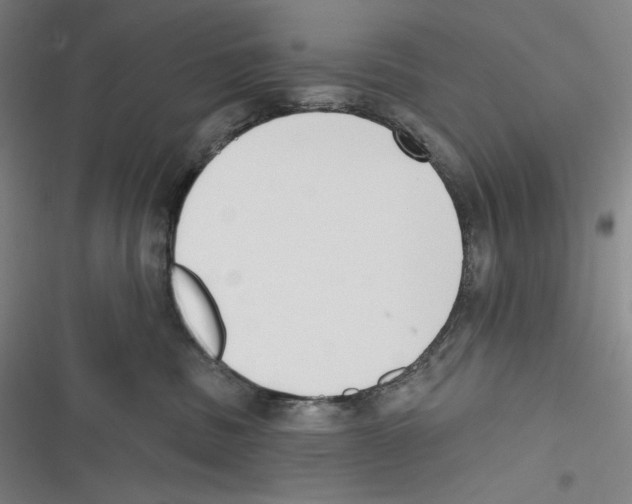X0000116650379201001111234