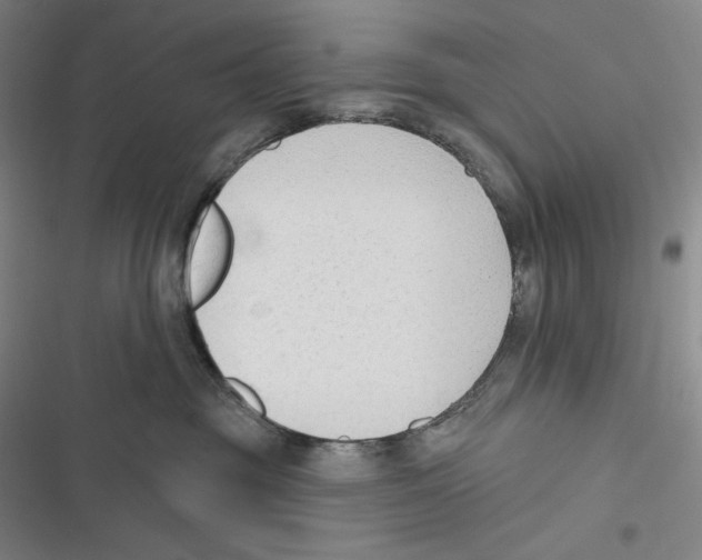 X0000116650381201001111234