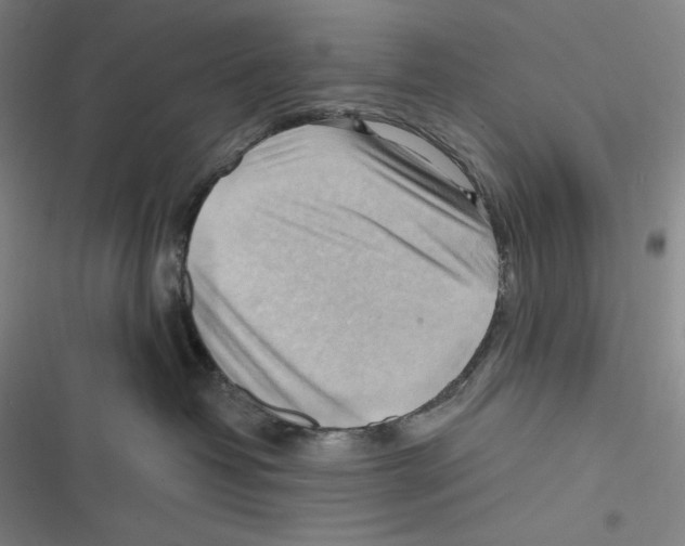 X0000116650382201001111234