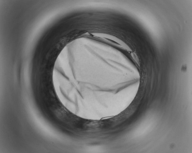 X0000116650383201001111234