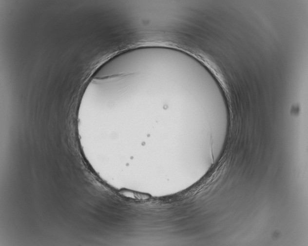 X0000116650385201001111233