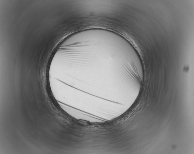 X0000116650386201001111233
