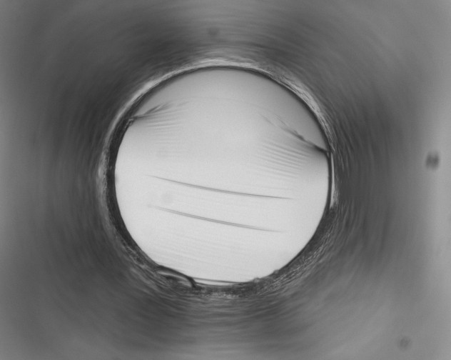 X0000116650387201001111233