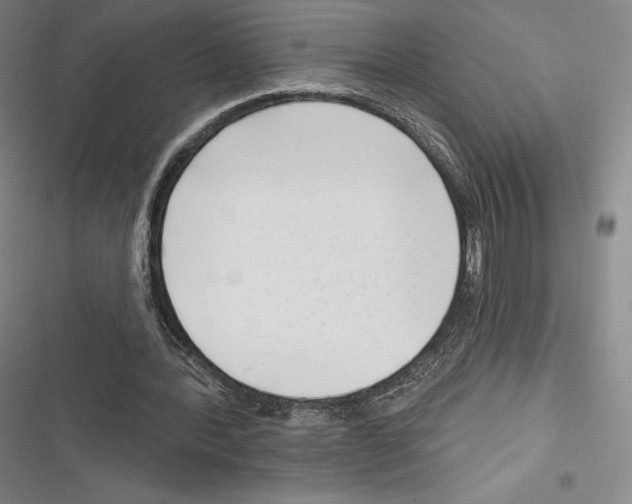 X0000116650388201001111233