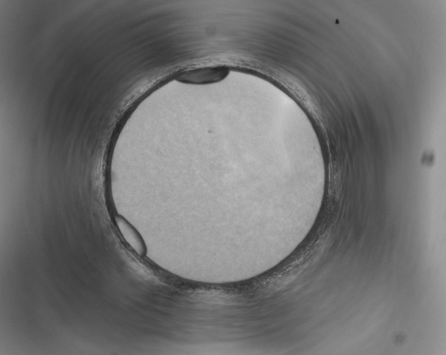 X0000116650389201001111233