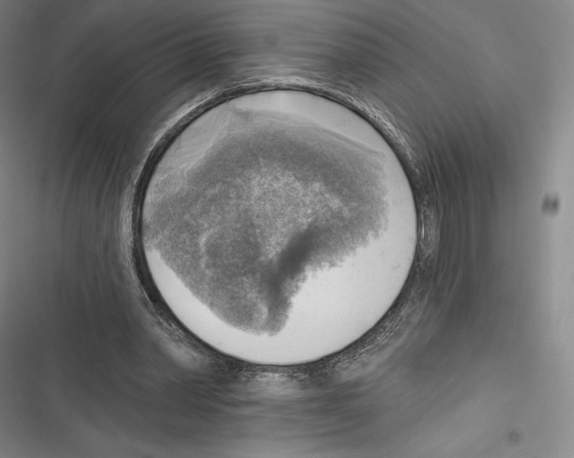 X0000116650390201001111233