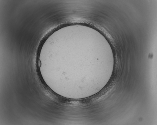 X0000116650391201001111233