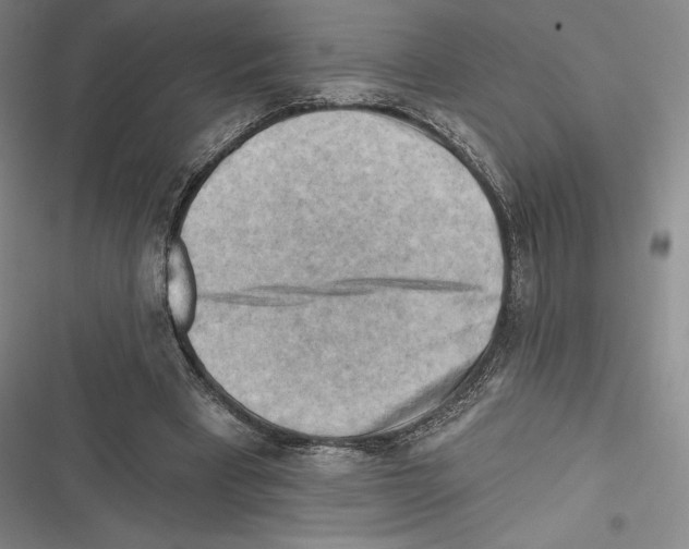 X0000116650393201001111233