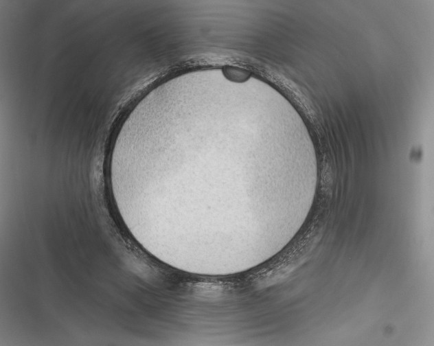 X0000116650394201001111233