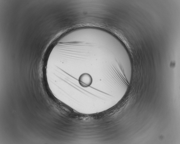 X0000116650395201001111233