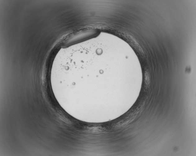 X0000116650396201001111233