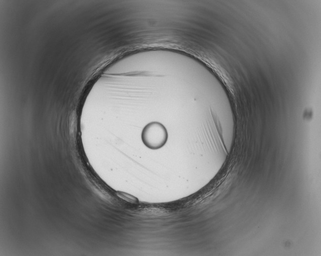 X0000116650397201001111233