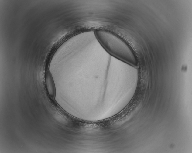 X0000116650399201001111233