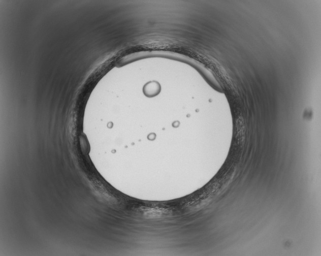 X0000116650400201001111233