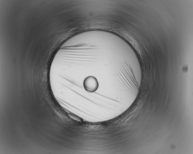 X0000116650401201001111233