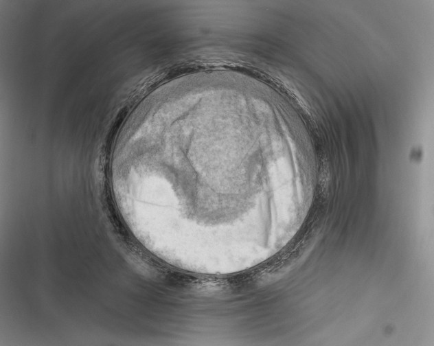 X0000116650402201001111233