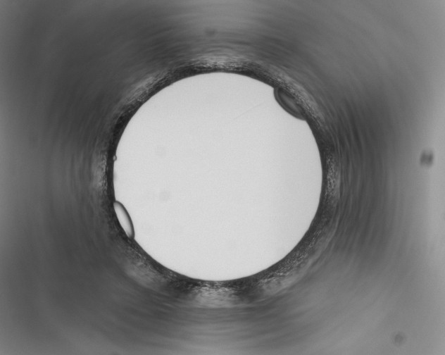 X0000116650403201001111233