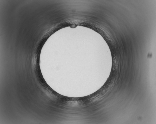 X0000116650404201001111233