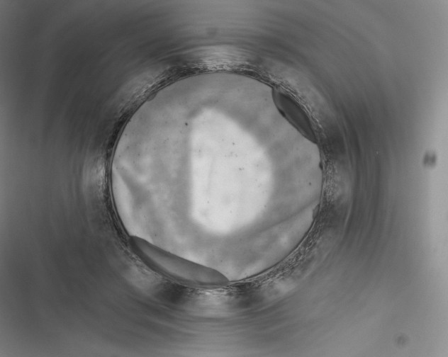 X0000116650405201001111233