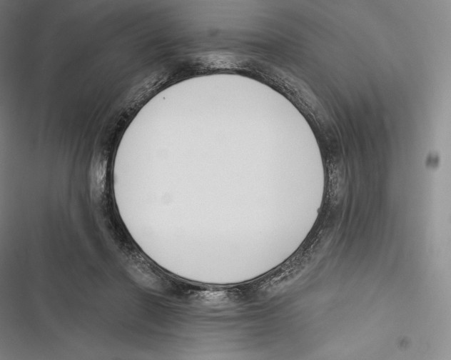 X0000116650406201001111233