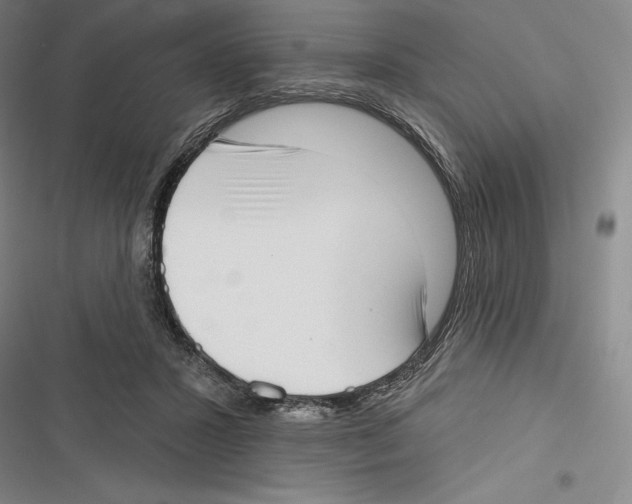 X0000116650407201001111233