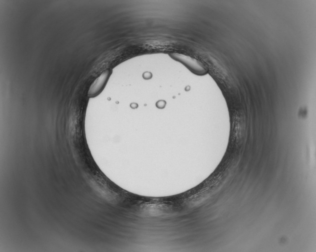 X0000116650408201001111233