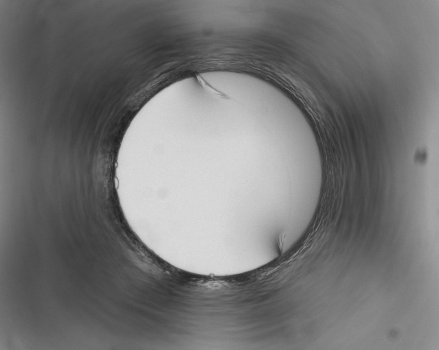 X0000116650409201001111233