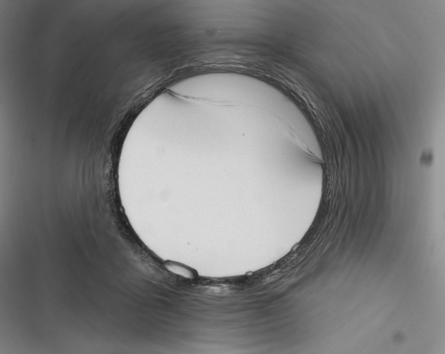 X0000116650411201001111233