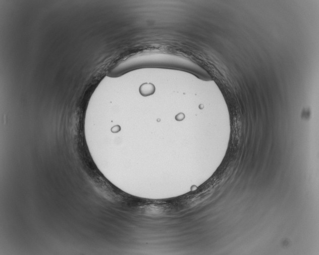 X0000116650412201001111233