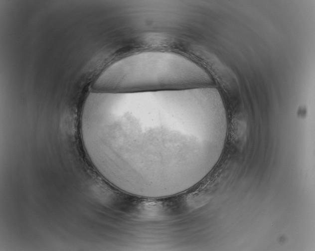 X0000116650413201001111233