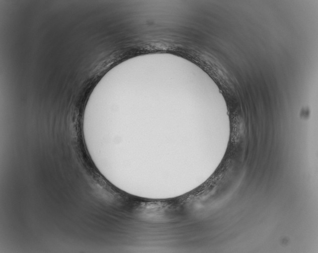 X0000116650414201001111233