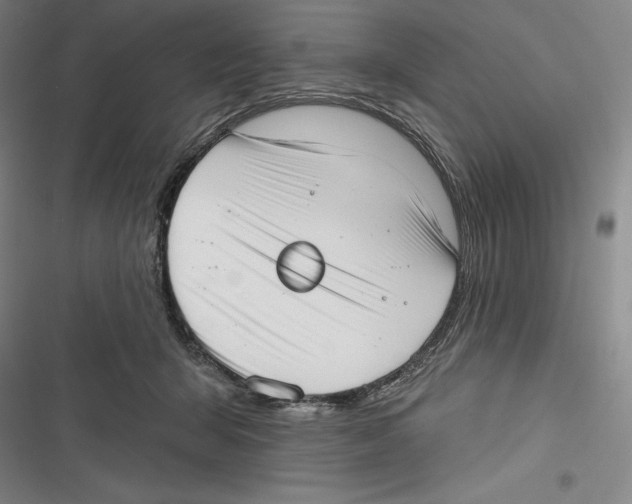 X0000116650415201001111233