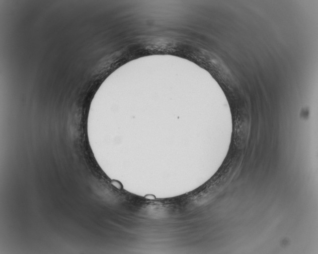 X0000116650416201001111233