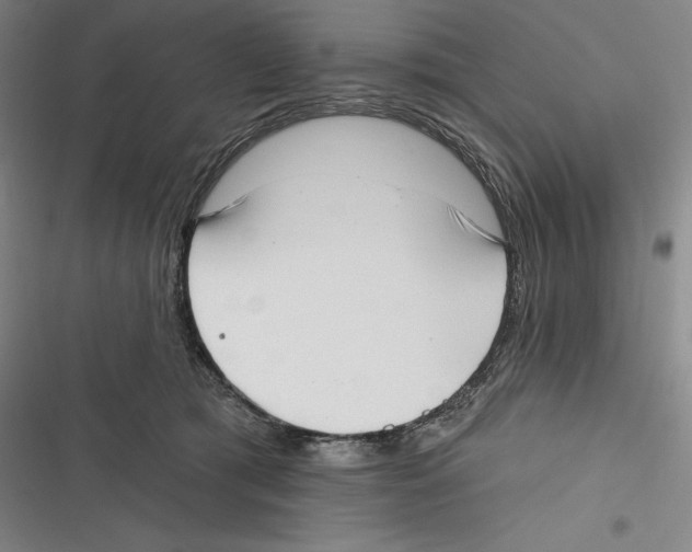 X0000116650417201001111233