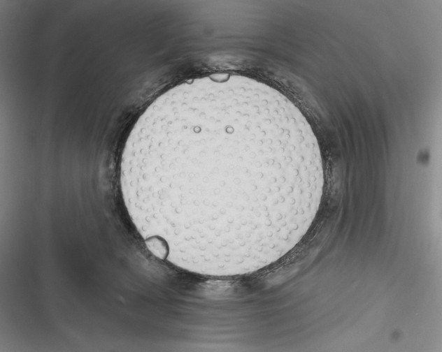 X0000116650418201001111233