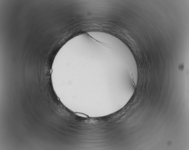 X0000116650419201001111233