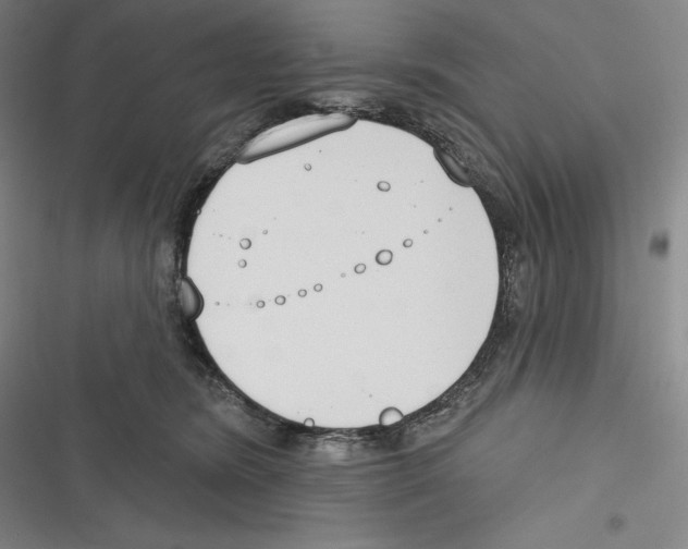 X0000116650420201001111233