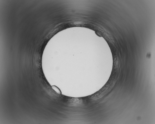 X0000116650421201001111233