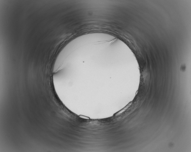 X0000116650423201001111233