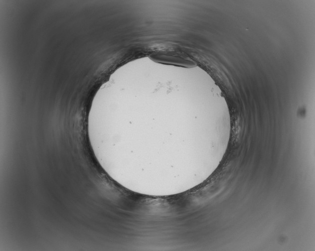 X0000116650424201001111233