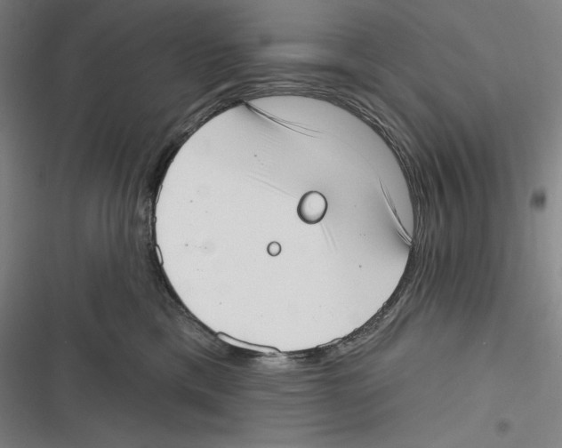 X0000116650425201001111233