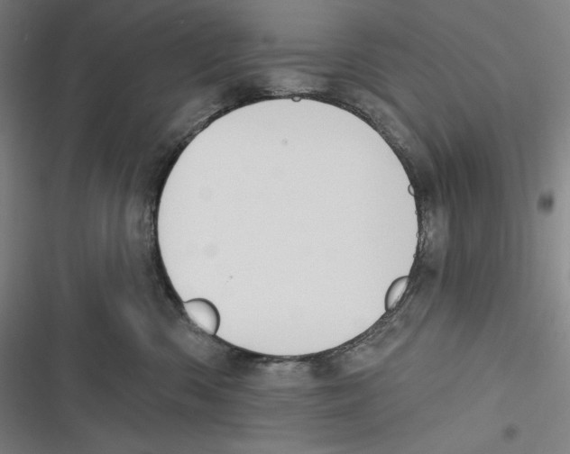 X0000116650426201001111233