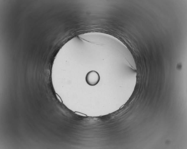 X0000116650427201001111233