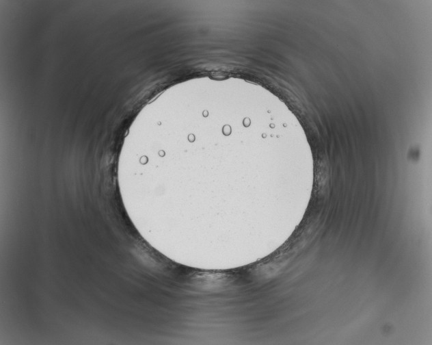 X0000116650428201001111233