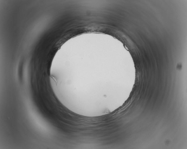 X0000116650429201001111233