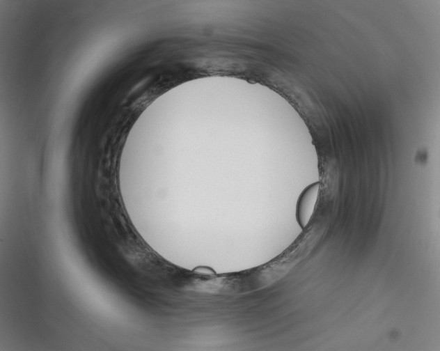 X0000116650430201001111233